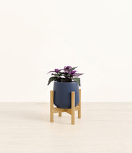 Load image into Gallery viewer, Deep Navy stand:bamboo
