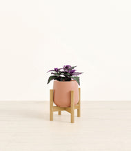 Load image into Gallery viewer, Calm Rose stand:bamboo

