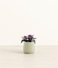 Load image into Gallery viewer, Turquoise*****Profile
