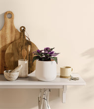 Load image into Gallery viewer, White
