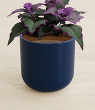 Load image into Gallery viewer, Twilight Blue stand:all
