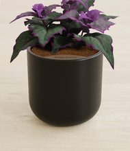 Load image into Gallery viewer, Stone Black stand:all
