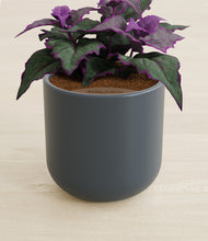 Load image into Gallery viewer, Iron Gray stand:all
