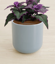 Load image into Gallery viewer, Misty Blue stand:all
