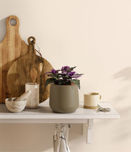 Load image into Gallery viewer, Olive
