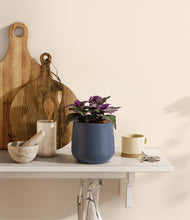 Load image into Gallery viewer, Deep Navy
