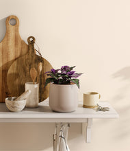 Load image into Gallery viewer, Eternal Gray
