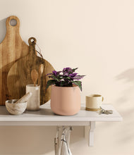 Load image into Gallery viewer, Gentle Pink
