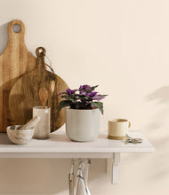 Load image into Gallery viewer, Cotton White
