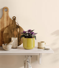 Load image into Gallery viewer, Key Lime Yellow
