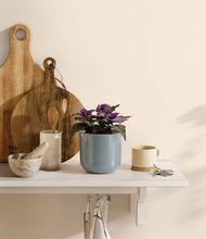 Load image into Gallery viewer, Misty Blue
