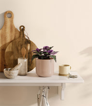 Load image into Gallery viewer, Sandy Pink
