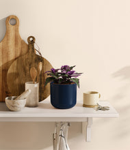 Load image into Gallery viewer, Twilight Blue
