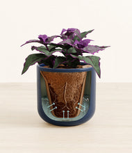 Load image into Gallery viewer, Twilight Blue stand:all
