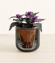 Load image into Gallery viewer, Stone Black stand:all
