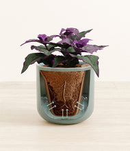 Load image into Gallery viewer, Reactive Aqua stand:all
