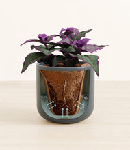 Load image into Gallery viewer, Iron Gray stand:all
