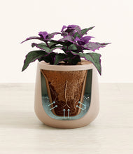 Load image into Gallery viewer, Eternal Gray stand:all
