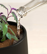 Load image into Gallery viewer, Black stand:all
