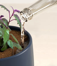 Load image into Gallery viewer, Deep Navy stand:all
