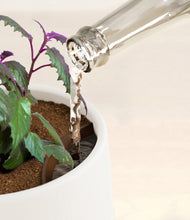 Load image into Gallery viewer, White stand:all
