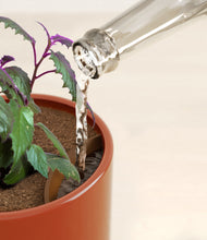 Load image into Gallery viewer, Glossy Red stand:all
