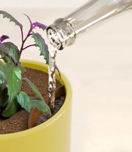 Load image into Gallery viewer, Key Lime Yellow stand:all
