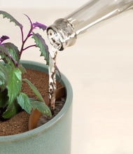 Load image into Gallery viewer, Reactive Aqua stand:all
