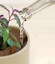 Load image into Gallery viewer, Sage Green stand:all
