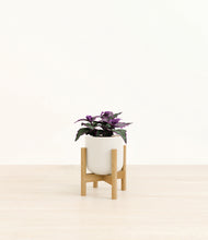 Load image into Gallery viewer, Cotton White stand:bamboo
