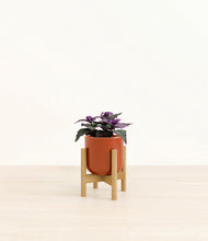 Load image into Gallery viewer, Glossy Red stand:bamboo
