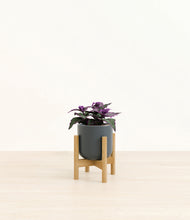 Load image into Gallery viewer, Iron Gray stand:bamboo
