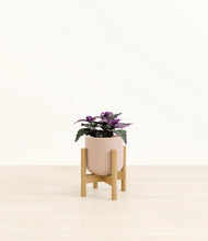 Load image into Gallery viewer, Sandy Pink stand:bamboo
