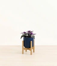 Load image into Gallery viewer, Twilight Blue stand:bamboo
