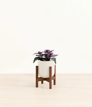 Load image into Gallery viewer, Cotton White stand:walnut

