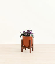 Load image into Gallery viewer, Glossy Red stand:walnut
