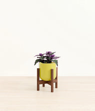 Load image into Gallery viewer, Key Lime Yellow stand:walnut

