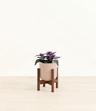 Load image into Gallery viewer, Sandy Pink stand:walnut

