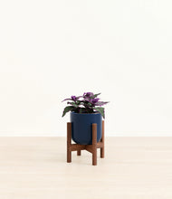 Load image into Gallery viewer, Twilight Blue stand:walnut
