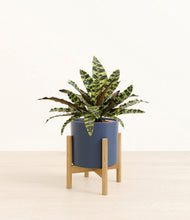 Load image into Gallery viewer, Deep Navy stand:bamboo
