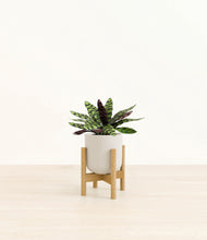 Load image into Gallery viewer, Natural Bamboo stand:bamboo
