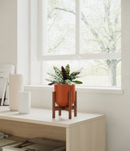 Load image into Gallery viewer, Earth Red stand:walnut
