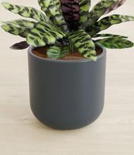 Load image into Gallery viewer, Iron Gray stand:all
