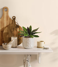 Load image into Gallery viewer, Hammered Ivory
