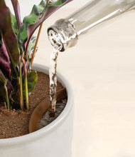 Load image into Gallery viewer, Hammered Ivory stand:all
