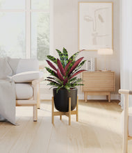 Load image into Gallery viewer, Stone Black stand:bamboo
