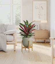 Load image into Gallery viewer, Sage Green stand:bamboo
