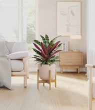 Load image into Gallery viewer, Sandy Pink stand:bamboo
