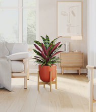 Load image into Gallery viewer, Earth Red stand:bamboo
