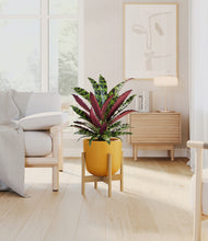 Load image into Gallery viewer, Sunset Orange stand:bamboo
